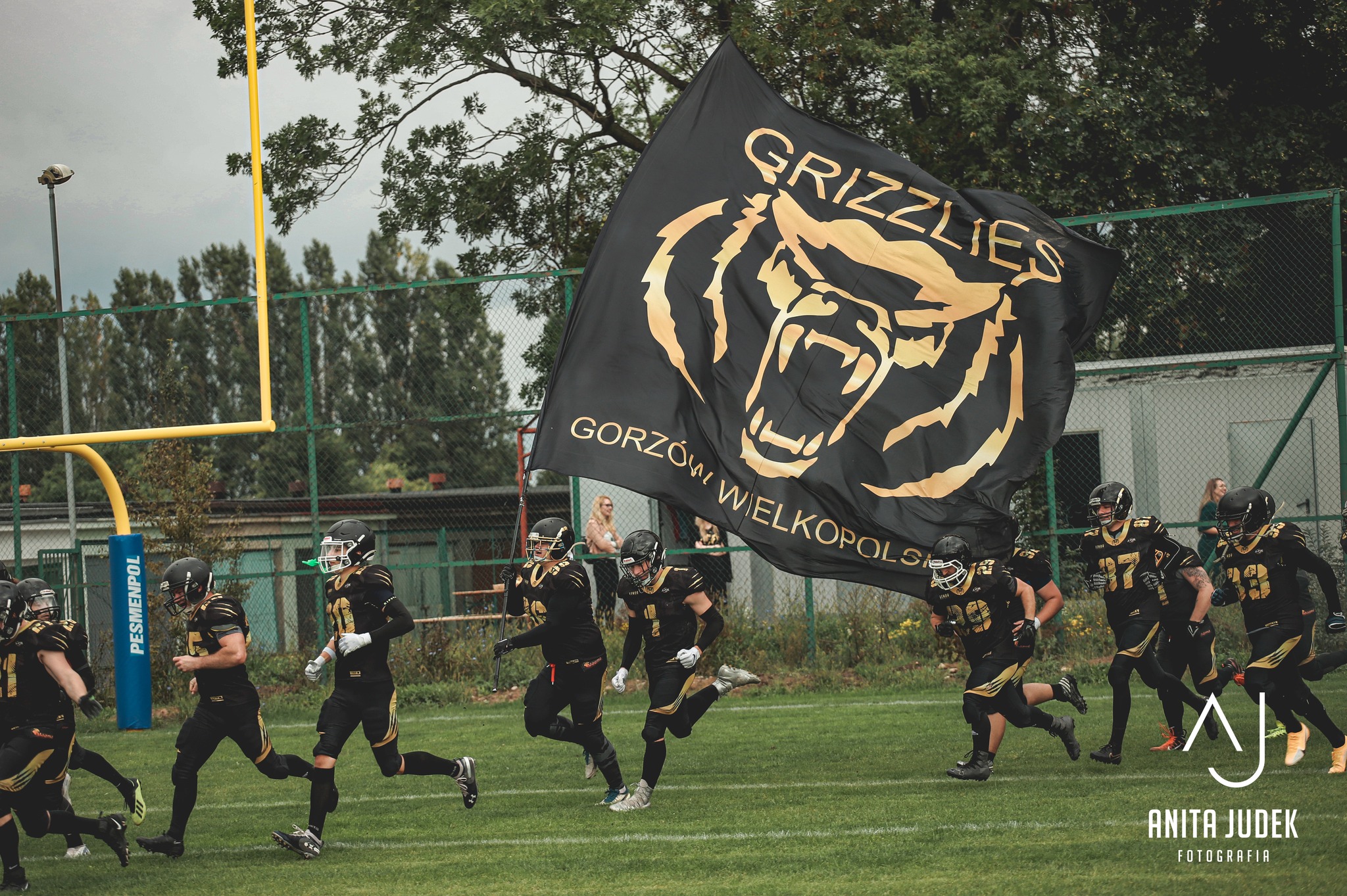 Grizzlies 3